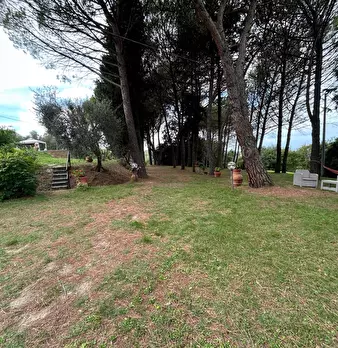 Foto annuncio 13