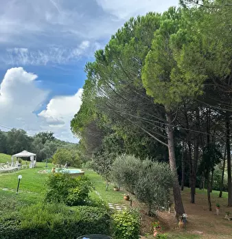 Foto annuncio 19
