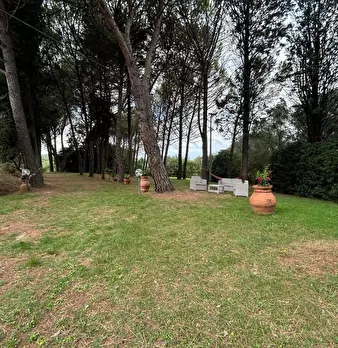 Foto annuncio 14