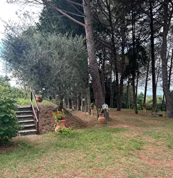 Foto annuncio 11