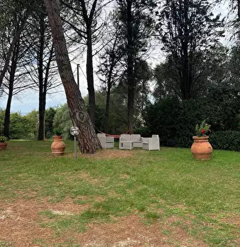 Foto annuncio 12