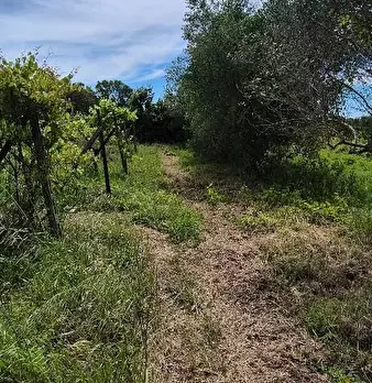 Foto annuncio 8