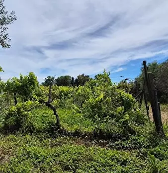 Foto annuncio 4