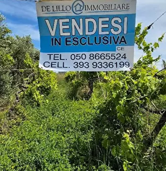 Foto annuncio 19