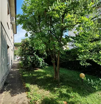 Foto annuncio 7