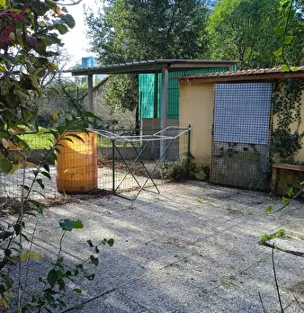 Foto annuncio 6