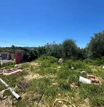 Foto annuncio 15