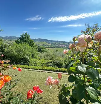 Foto annuncio 33