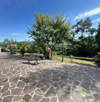 Foto annuncio 38