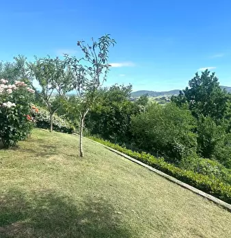 Foto annuncio 14