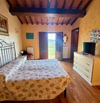 Foto annuncio 50