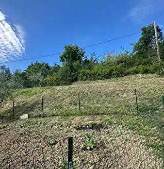 Foto annuncio 10