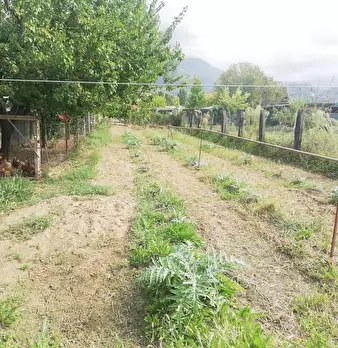 Foto annuncio 8