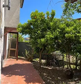 Foto annuncio 17