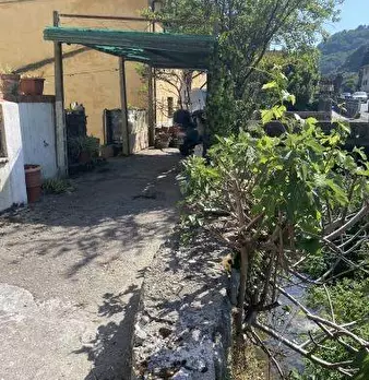 Foto annuncio 44