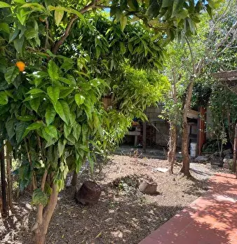 Foto annuncio 18