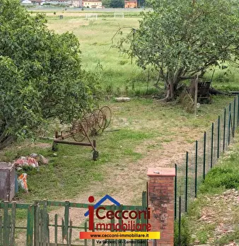 Foto annuncio 21