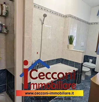 Foto annuncio 7