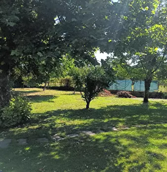 Foto annuncio 5