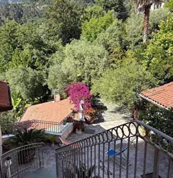 Foto annuncio 1