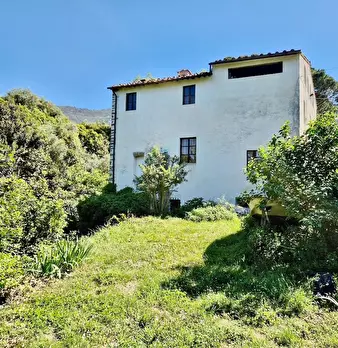 Foto annuncio 5