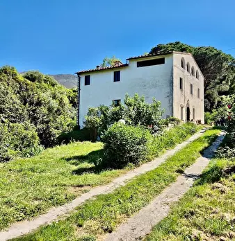 Foto annuncio 7