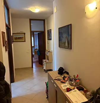 Foto annuncio 14