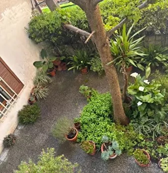 Foto annuncio 11