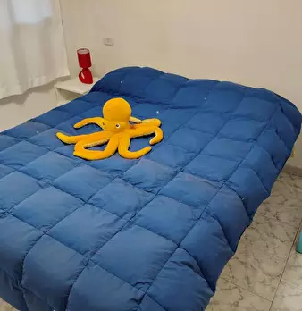 Foto annuncio 7