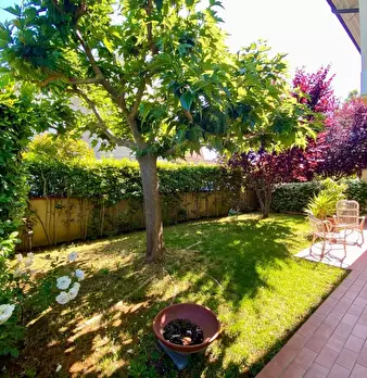 Foto annuncio 4