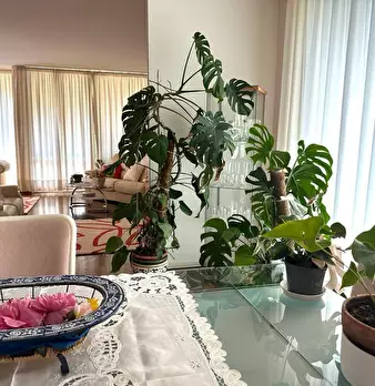 Foto annuncio 31