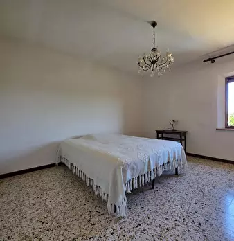 Foto annuncio 29