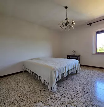 Foto annuncio 28