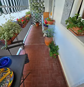 Foto annuncio 7