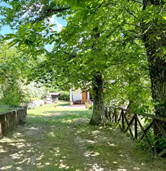 Foto annuncio 23