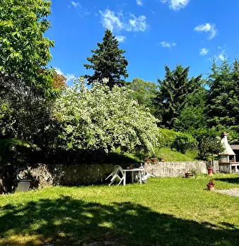 Foto annuncio 19
