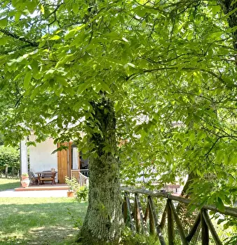Foto annuncio 22
