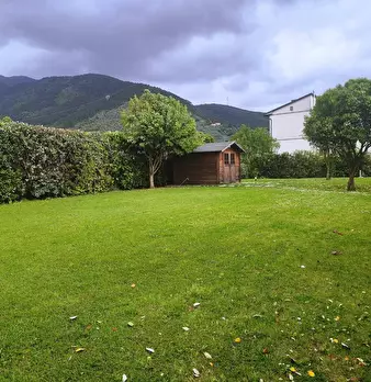 Foto annuncio 7