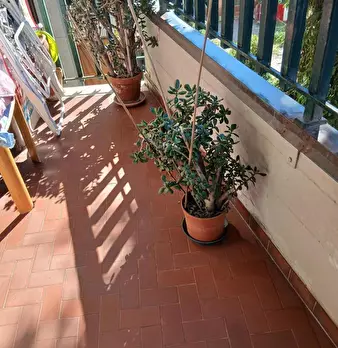 Foto annuncio 10