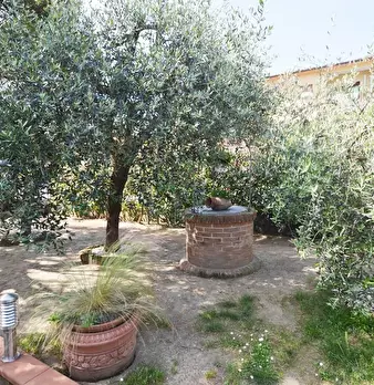 Foto annuncio 22