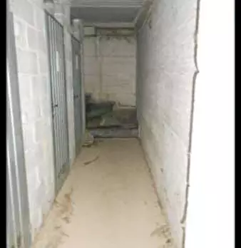 Foto annuncio 11