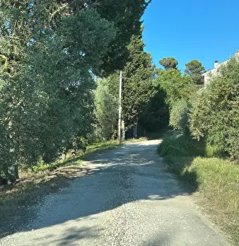 Foto annuncio 30