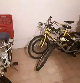 Foto annuncio 31