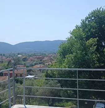 Foto annuncio 61