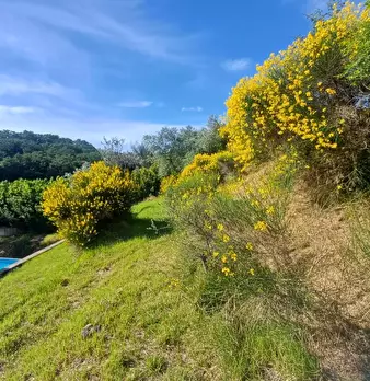 Foto annuncio 8