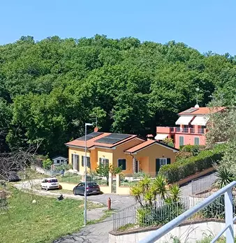 Foto annuncio 10
