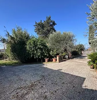 Foto annuncio 21