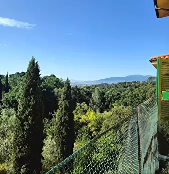 Foto annuncio 10