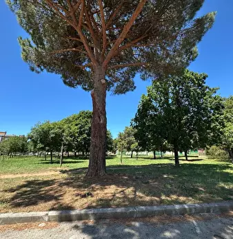 Foto annuncio 11