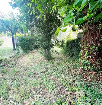 Foto annuncio 7